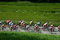 Fahrerfeld
GP des Kantons Aargau, UCI Europe Tour  2005
[� by J�rgen Burkhardt, B�renhofstra�e 25, 70771 Leinfelden-Echterdingen. Telefon 0711/791424, Fax 0711/791437.Postbank Stuttgart(BLZ 600 100 70) Konto 234130-708) www.radsportfoto.de. Bitte zwei Belegexemplare zusenden. Nutzung ist honorarpflichtig gemaess MFM zzgl. 16% MWSt. Drittrechte sind nicht geklaert. NO MODEL RELEASE. Jede Weitergabe dieses Materials an Dritte ohne ausdrueckliche Genehmigung ist untersagt.]

