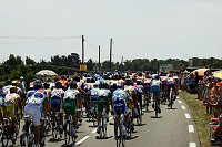 2. Etappe Challans - Les Essart
Peloton

[� by J�rgen Burkhardt, B�renhofstra�e 25, 70771 Leinfelden-Echterdingen. Telefon 0711/791424, Fax 0711/791437.Postbank Stuttgart(BLZ 600 100 70) Konto 234130-708) www.radsportfoto.de. Bitte zwei Belegexemplare zusenden. Nutzung ist honorarpflichtig gemaess MFM zzgl. 16% MWSt. Drittrechte sind nicht geklaert. NO MODEL RELEASE. Jede Weitergabe dieses Materials an Dritte ohne ausdrueckliche Genehmigung ist untersagt.]

